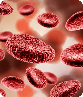 hematology in India