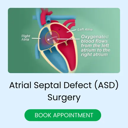atrial septal in india
